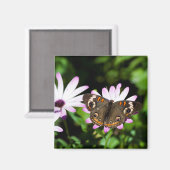 バケエ蝶の紫色の花 マグネット (正面/裏面)