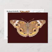 バケエ・バタフライ～葉書 ポストカード (正面/裏面)