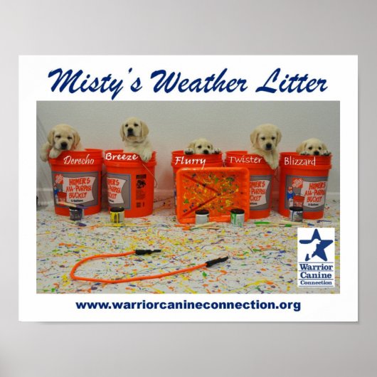 バケッ絵を描トの子犬ポスター ポスター (正面)