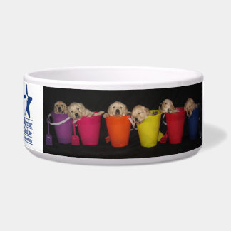 バケツおよびPawprintボール ボウル