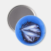 バケツに入った魚 マグネット (正面/裏面)