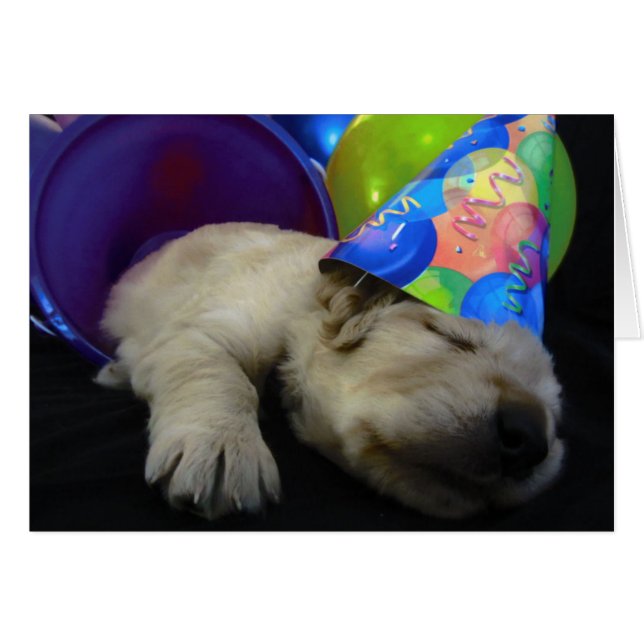 バケツのルビー (正面横)