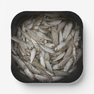 バケツの魚 ペーパープレート
