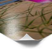 バケツアンドスペードオンドーノックビーチ フォトプリント            (角)