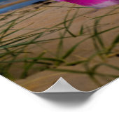 バケツアンドスペードオンドーノックビーチ ポスター (角)