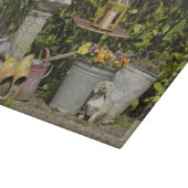 バケツ、くつ、花、ザーンス·シャンズ。 カッティングボード (角)