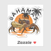 バケーションアンドロズカニバハマフラッグシールクルーズ シール (シート)