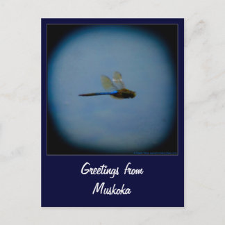 バケーションカントリーのはがきからの挨拶 ポストカード