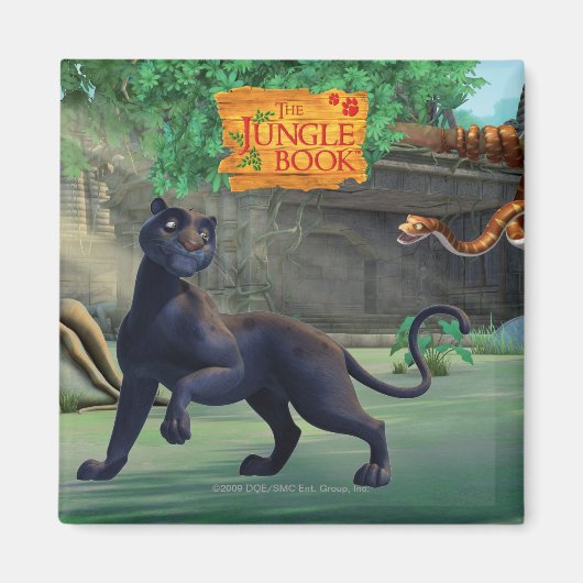 バゲーラ3 マグネット (正面)