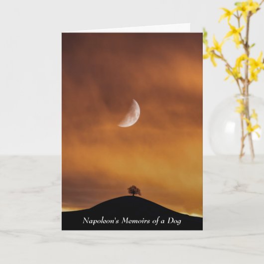 バサインスパイアノの戦いの後の犬のナポレオン カード (黄色い花)