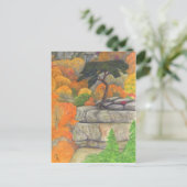 バザードズローストアットホテルクリーク滝ハガキ ポストカード (スタンド正面)