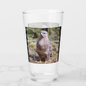 バザールがじろじろ見る タンブラーグラス (裏面)