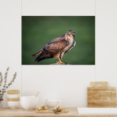 バザール ポスター (キッチン)