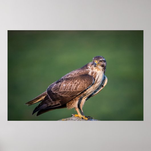 バザール ポスター (正面)