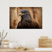 バザール ポスター (キッチン)