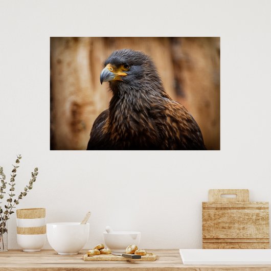 バザール ポスター (キッチン)