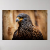 バザール ポスター (正面)