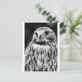 バザール ポストカード (スタンド正面)