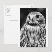 バザール ポストカード (正面/裏面)