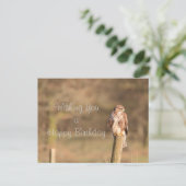 バザール ポストカード (スタンド正面)