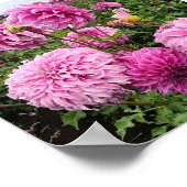 バシオメガゴスダリア ポスター (角)