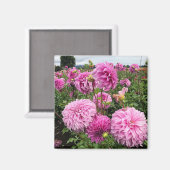 バシオメガゴスダリア マグネット (正面/裏面)