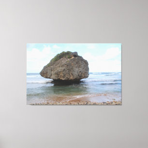 バシバのバルバドスビッグロックCanvas Print キャンバスプリント