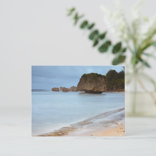 バシバ ポストカード (スタンド正面)