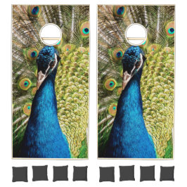 バシフルピーコック