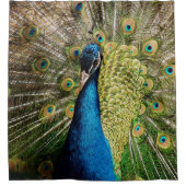 バシフルピーコック シャワーカーテン (正面)