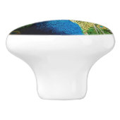 バシフルピーコック セラミックノブ (側面)