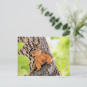 バシフル シーズンポストカード (スタンド正面)