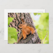 バシフル シーズンポストカード (正面/裏面)