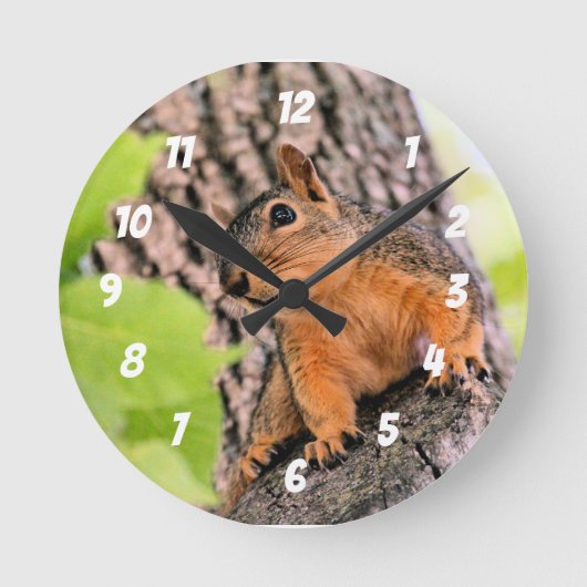 バシフル ラウンド壁時計 (正面)