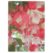 バシュキルツェフ クリップボード (裏面)