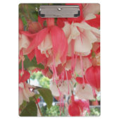 バシュキルツェフ クリップボード (正面)