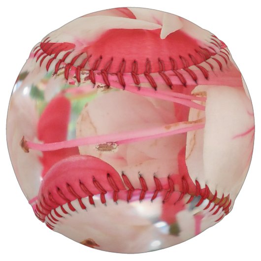 バシュキルツェフ ソフトボール (正面)