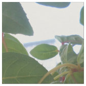 バシュキルツェフ ファブリック (クローズアップ)