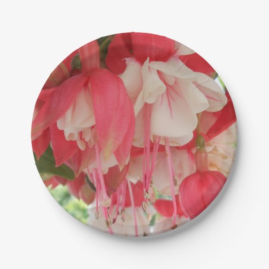 バシュキルツェフ ペーパープレート (正面)