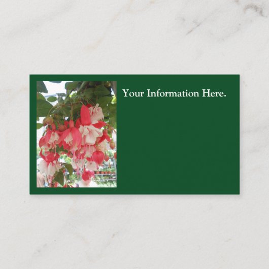 バシュキルツェフ 名刺 (正面)