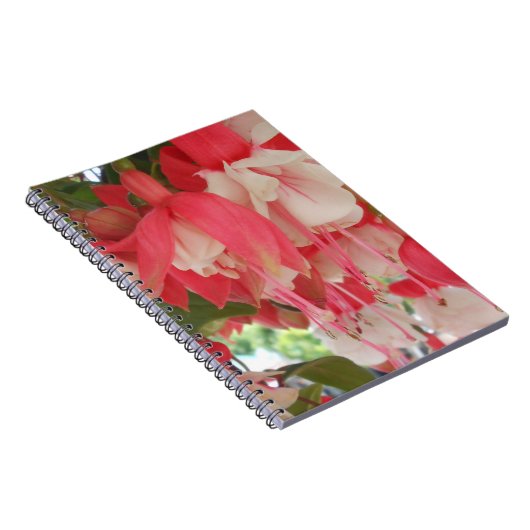 バシュキルツセフ ノートブック (右側)