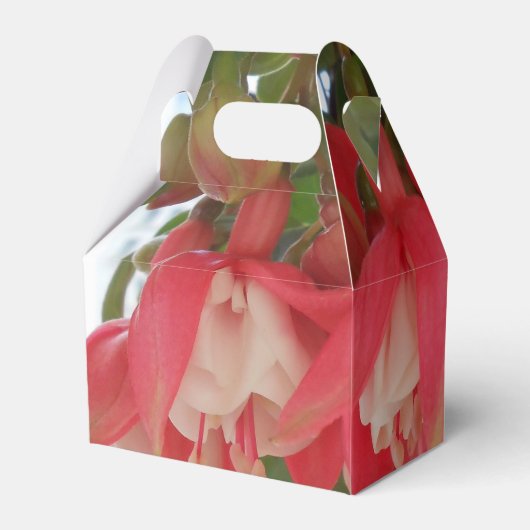 バシュキルツセフ フェイバーボックス (裏面サイド)