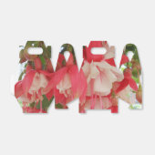 バシュキルツセフ フェイバーボックス (折り畳みなし)