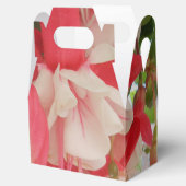 バシュキルツセフ フェイバーボックス (オープン)