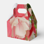 バシュキルツセフ フェイバーボックス (正面サイド)