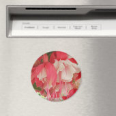 バシュキルツセフ マグネット (インサイチュ (食洗機))