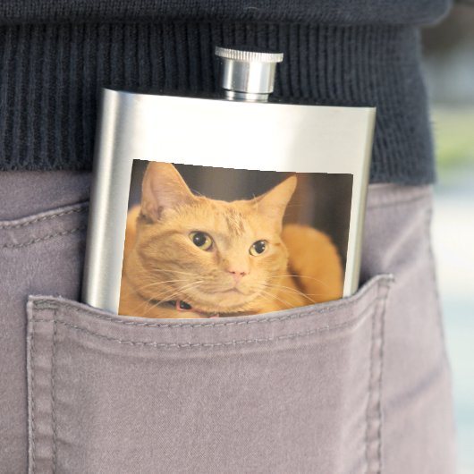 バシー フラスク (インサイチュ)