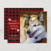 バジェットいけなまたはナイスドッグの写真グリーティングカード (正面/裏面)