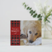 バジェットいけなまたはナイスドッグの写真グリーティングカード (スタンド正面)