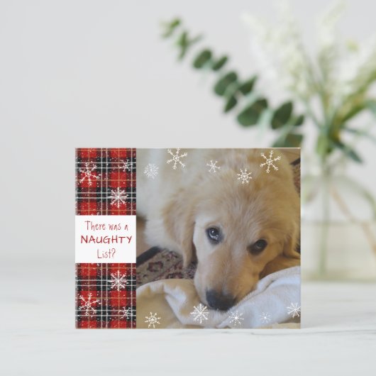 バジェットいけなまたは素敵なフォトおもしろいホリデーカード (スタンド正面)